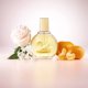thumbnail image 3 of Perfume Lancôme Vanderbilt Eau De Toilette 100 ml para mujer, 3 of 3