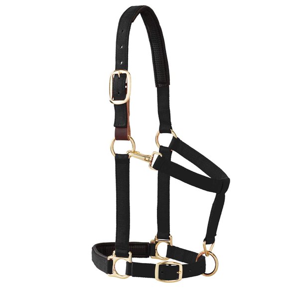 Cabezada Weaver Equine acolchada de 2,5 cm con liberación de seguridad