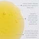 thumbnail image 4 of Suero facial Osmia Restore 13,3 ml, 4 of 7