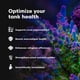 thumbnail image 4 of Tratamiento de Agua Brightwell Aquatics Ferrion 250 ml, 4 of 7