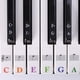thumbnail image 1 of Pegatina para teclado de piano, color, apta para pianos de 88/61/54/49 teclas, ideal para principiantes, acelera la memorización de teclas y se quita fácilmente sin dejar residuos., 1 of 5