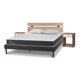 thumbnail image 2 of Cama Europea Curve New Ortopedic 2 Plazas + 2 Alm + Set Olmo 2 Pza, 2 of 10