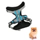 thumbnail image 1 of Arnes Pechera Perro Mascota Resistente Comodo Reflectante Talla S Celeste, 1 of 4