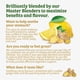 thumbnail image 5 of Té de hierbas Twinings de limón y jengibre con probióticos, 108 bolsas, 5 of 6