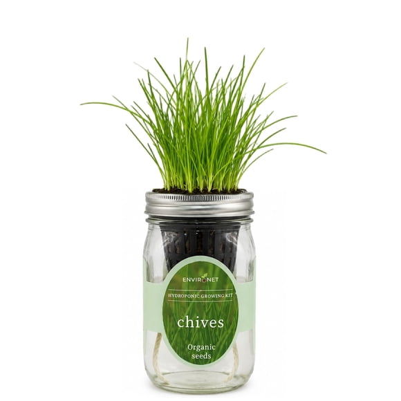 Kit de cultivo hidropónico de cebollín para interiores Environet