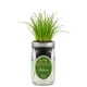 thumbnail image 1 of Kit de cultivo hidropónico de cebollín para interiores Environet, 1 of 9