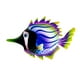 thumbnail image 1 of Peces Pintados A Mano Decoración De Pared Escultura De Pez Tropical Para Decoraciones Púrpura, 1 of 3