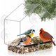 thumbnail image 1 of Comedero de pájaros para ventana Nature's Hangout con ventosas transparentes, 1 of 8