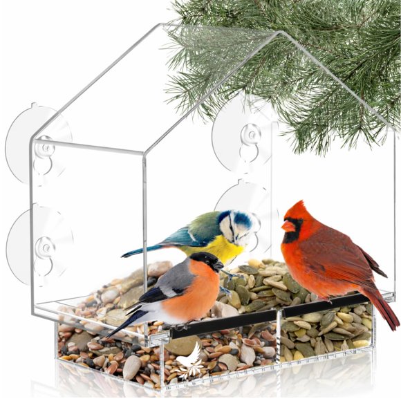 Comedero de pájaros para ventana Nature's Hangout con ventosas transparentes