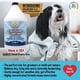 thumbnail image 3 of Champú y acondicionador Bodhi Dog Organic Avena para mascotas, 3 of 11