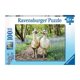 thumbnail image 1 of Puzzle XXL Llama Love 100 Piezas, 1 of 2