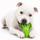 thumbnail image 1 of Juguete para perro HAPPY STAFFY Chewzilla Brócoli Nylon Ultra‑Resistente, 1 of 9