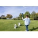 thumbnail image 5 of Juguete para perros Chuckit! El lanzador doble Duo 22M con 2 pelotas de tenis, 5 of 7