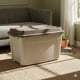 thumbnail image 1 of Caja Baul 210 Litros Reyplast  Color Beige tapa Cafe, 1 of 8