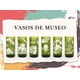 thumbnail image 1 of Vasos De Museo 6 Pack 500ml verde, 1 of 7