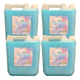thumbnail image 1 of Suavizante Liquido Para Ropa BioGo 5 Lts 4 Unidad, 1 of 3