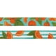 thumbnail image 3 of Correa Para Perros Leash Florida Talla S Small Leash, 3 of 3