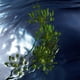 thumbnail image 5 of Perfume Cool Water Reborn Eau De Toilette 75 Ml Para Hombre, 5 of 6