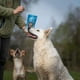 thumbnail image 3 of Snack Para Perros Protein Cubes Sin aditivos South Bites, 3 of 4