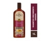 thumbnail image 1 of Shampoo Ginseng, 1 of 3