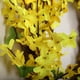 thumbnail image 4 of Corona de hojas artificiales - Corona de eucalipto artificial para exteriores, guirnalda de plantas verdes artificiales, decoración para el hogar y la oficina., 4 of 6