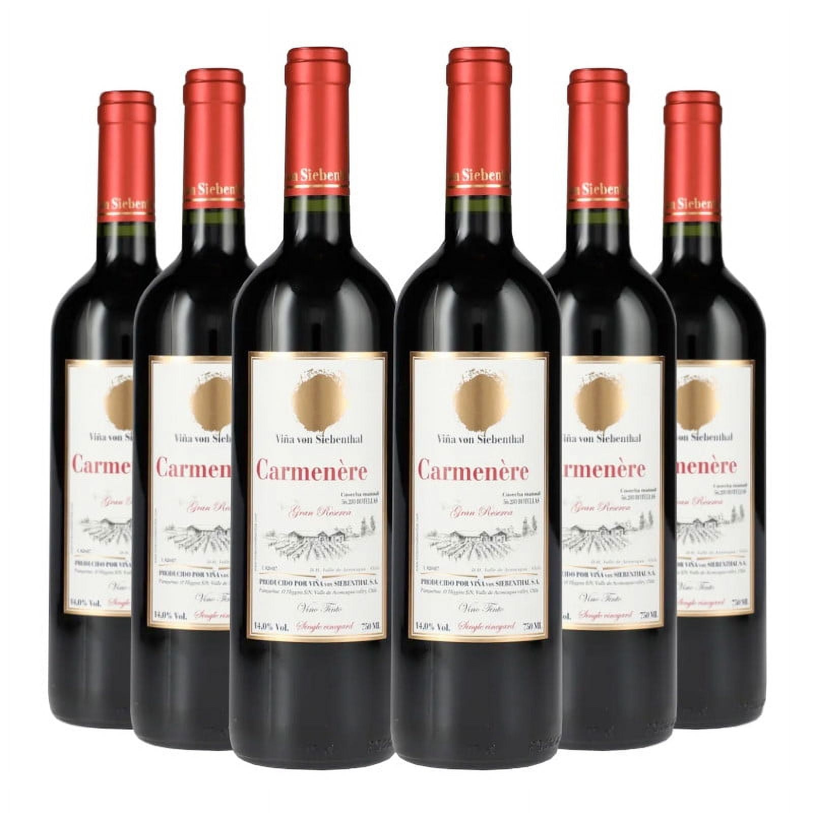 6 Vinos Von Siebenthal Gran Reserva Carmenere, 750cc