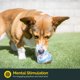thumbnail image 2 of Pelota dispensadora de premios Pet Zone IQ Puzzle de 7,5 cm, comedero lento, 2 of 9