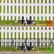 thumbnail image 5 of Panel de cerca Getlay negro 30 cm – Pack de 10 – 3 m (L), 5 of 7