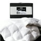 thumbnail image 1 of Cubrecama Cobertor 2 Plazas 90% Pluma Pecho Ganso Homely Lux, 1 of 10