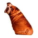 thumbnail image 5 of Animales Perro Patrón Felpa Cojín Cojín Lavable Estilo E, 5 of 5
