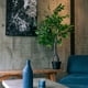 thumbnail image 1 of Ficus Benjamina de 120 cm con doble tronco, 1 of 2