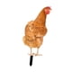 thumbnail image 4 of Estaca De Estatua De Animal De Pollo Realista Para Patio, Piscina, Porche Delantero, 30cm X 13cm, 4 of 5