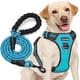 thumbnail image 1 of Arnés para perros TobedRi ajustable reflectante Oxford Blue L, 1 of 6