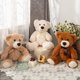 thumbnail image 4 of Ositos de peluche Morismos de 14 pulgadas para niños mayores de 3 años, 4 of 6
