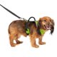 thumbnail image 1 of Arnés para perros PetSafe EasySport ajustable extrapequeño, 1 of 4