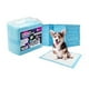 thumbnail image 1 of 100 Sabanillas Desechables Perros 45x60 Cms Pañales, 1 of 3