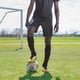 thumbnail image 2 of Balón de fútbol Champion Sports de goma, tamaño 3, para niños menores de 8 años, 2 of 2