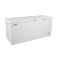 Freezer Horizontal Dual 600Lts Tapa Dura Bozzo