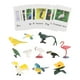 thumbnail image 5 of Figuras De Animales Montessori Para Combinar Con Animales, Juguetes Para Regalo De Vacaciones, Pájaro Para Escuela En Casa, 5 of 5