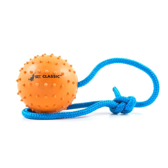 Pelota para perro The Nero Ball 7 cm con cuerda de 30 cm