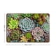 thumbnail image 2 of Cartel Metálico Desmarcar Plantas Suculentas 30x40cm, 2 of 6