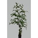 thumbnail image 2 of Planta Decorativa Árbol de Eucalipto 150 cm, 2 of 2