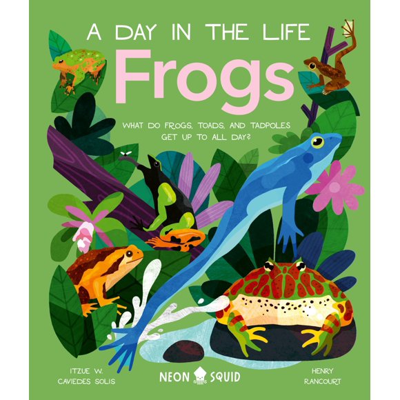 Libro Neon Squid: Ranas, un día en la vida