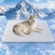 thumbnail image 1 of Alfombra refrescante para perros GooCare 117 cm x 91 cm – Tamaño grande, 1 of 9