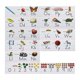 thumbnail image 1 of Tablero De Anuncios Del Alfabeto Aprendizaje Temprano Kinder Preescolar Decoraciones, 1 of 5