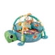 thumbnail image 1 of Gimnasio Piscina Pelotas 3 en 1 Tortuga, 1 of 3
