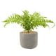 thumbnail image 1 of Planta Artificial Helecho Inés 32 CM con Macetero, 1 of 3
