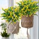 thumbnail image 5 of Flores artificiales Grunyia Eucalyptus, 10 paquetes (amarillas), 5 of 7