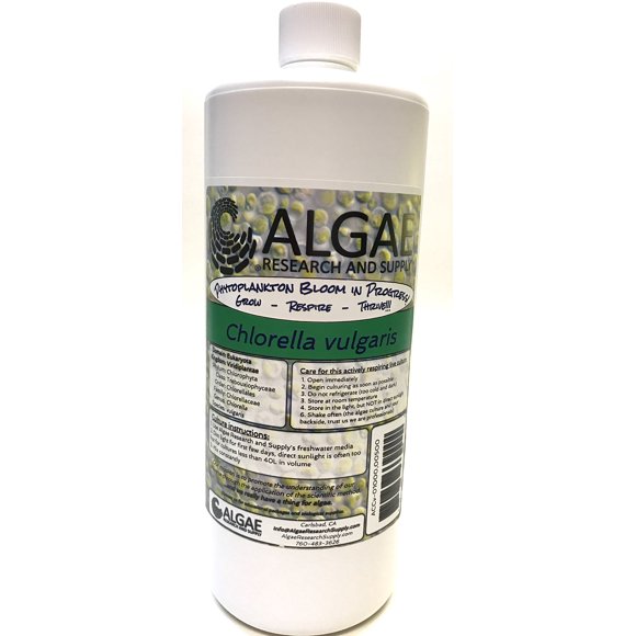 Cultura de Algas Chlorella Vulgaris 1000 ml – Algae Research & Supply