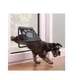 thumbnail image 2 of Puerta Abatible Talla M Perros Y Gatos Mascota, 2 of 2